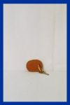 Key Chain - Leather or Hair on Hides